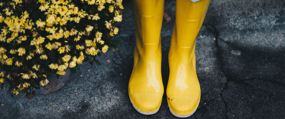 marigold yellow boots