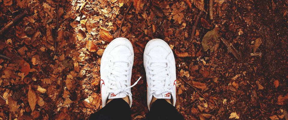 trainers on autumn leaves