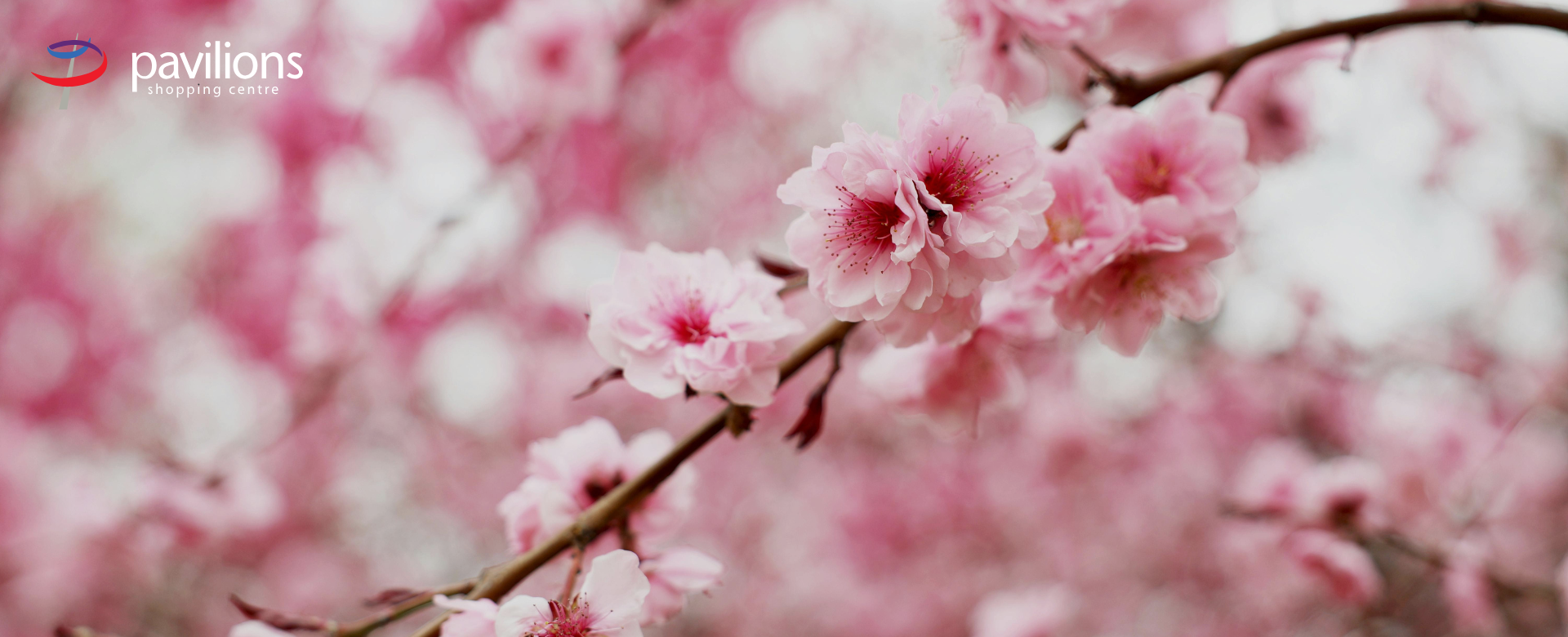 Pavilions Banners (1)